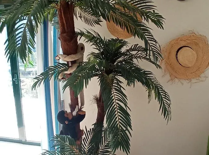 Prázdninový dům Casa Do Mondego Coimbra-17km